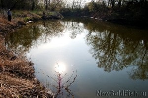 Împingerea intrării în groapă și ieșirea din râu