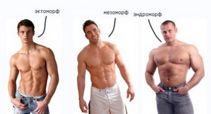 Metabolizarea ectomorfilor