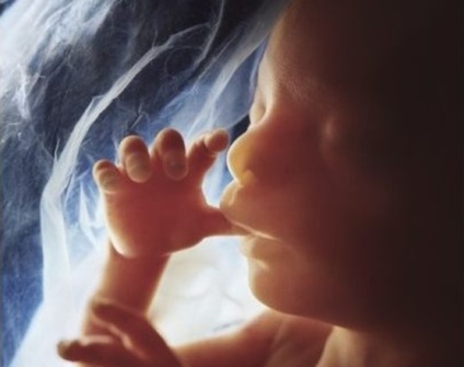 Comunicarea cu copilul nenăscut, Departamentul de Obstetrică, Ginecologie și Medicină Fetală