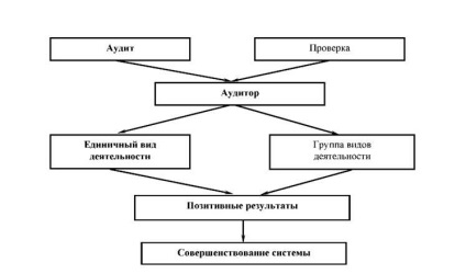 Dispoziții generale privind auditul