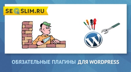 Pluginuri de wordpress necesare