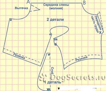 Îmbrăcăminte pentru câini cu mâinile lor - modele și modele, ideile mele de dulci acasă - manuală de lucru și