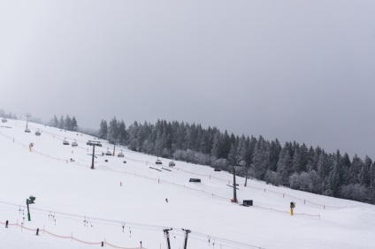 Într-o zi în pădurea neagră feldberg, alpirsbach și silts