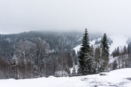 Într-o zi în pădurea neagră feldberg, alpirsbach și silts