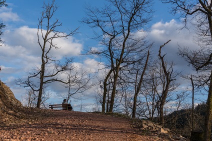 Într-o zi în pădurea neagră feldberg, alpirsbach și silts