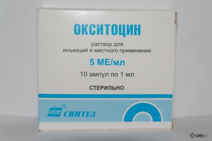 Farrow vietnami sertés otthon és gondozás először a fialás után (eszközök) Farrow vietnami sertés otthon és gondozás először fialás után