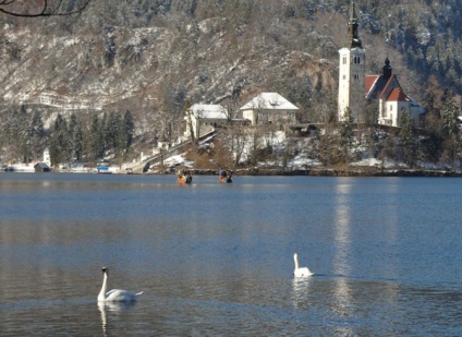 Lake Pale, descriere slovenă, fotografie, unde este pe hartă, cum se obține