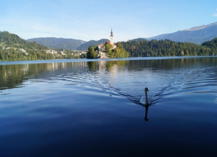 Lake Pale, descriere slovenă, fotografie, unde este pe hartă, cum se obține