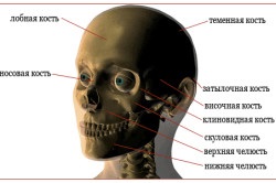 Fractura osului zigomatic, simptome, tratament și consecințe