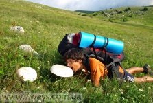 Mâncare la mers pe jos ce fel de mâncare facem să trecem, de câte ori mâncăm, ce mâncare vom face