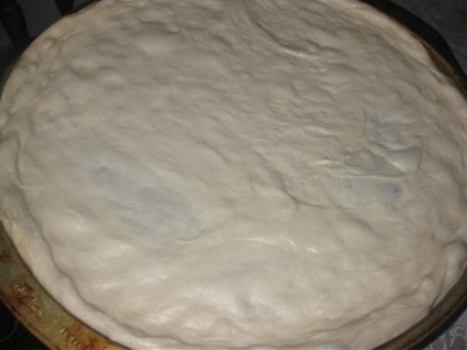 Pizza amerikai (USA) pizza amerikai