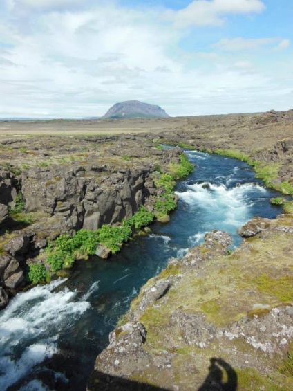 De ce vata de oaie islandeză este considerată cea mai bună din lume - târg de maeștri - manual, manual