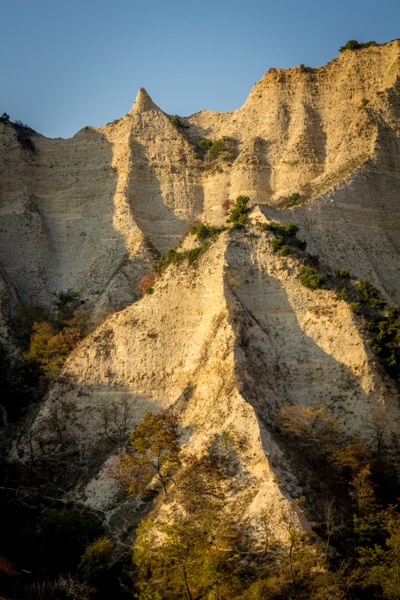 Excursie la c