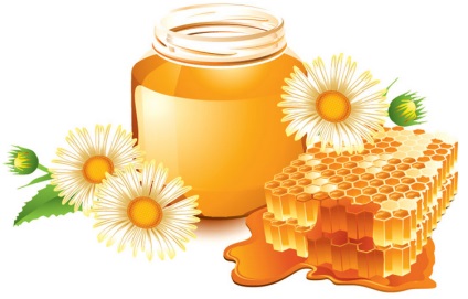 Proprietăți utile de miere - cât de utile miere, mâncare!