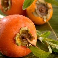 Proprietăți utile de persimmons, cum să utilizați curmal japonez cum să aleagă o curmale