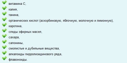 Beneficiile și prejudiciile cauzate de borago