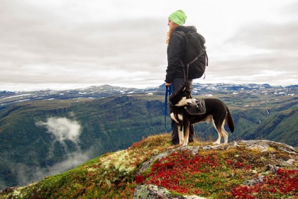 Excursie pe jos pentru a troll limba în Norvegia Tot ce trebuie să știi, să nu fie prins, lumea aventurii