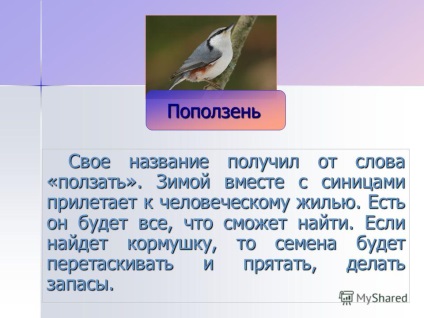 Презентация за това как да се помогне птици през зимата