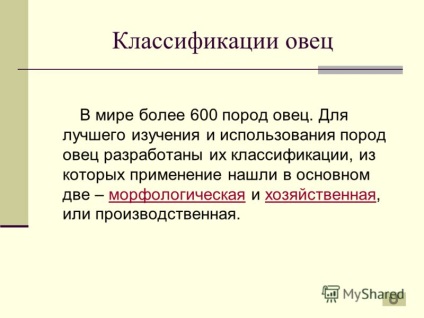 Prezentarea pe tema rasei oilor a fost realizată de studentul Chernyshova Olga din clasa a XI-a a MOU sosh 9 g