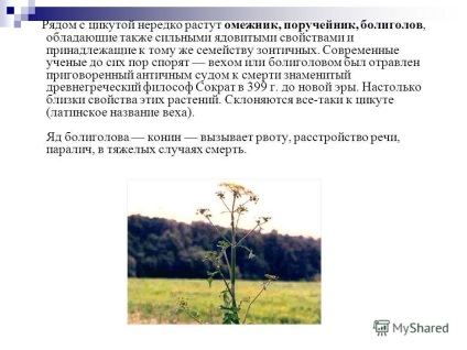 Prezentare pe tema de plante ca amenințări biologice de aksenov despre