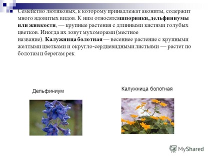 Prezentare pe tema de plante ca amenințări biologice de aksenov despre