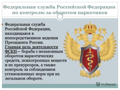 Előadás a felépítése, funkciói és céljai A Szövetségi Kábítószer-ellenőrzési Szolgálat az Orosz Föderáció
