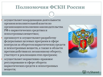 Előadás a felépítése, funkciói és céljai A Szövetségi Kábítószer-ellenőrzési Szolgálat az Orosz Föderáció