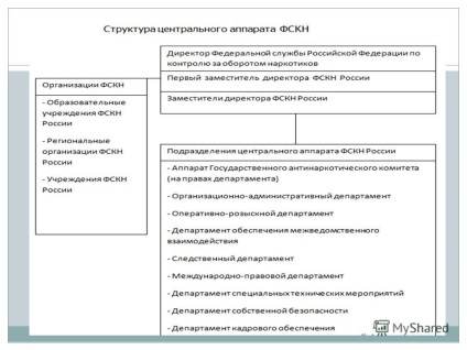 Előadás a felépítése, funkciói és céljai A Szövetségi Kábítószer-ellenőrzési Szolgálat az Orosz Föderáció