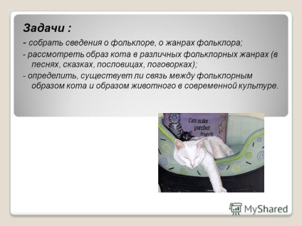 Prezentarea impactului reprezentărilor umane asupra binelui și răului asupra imaginii unei pisici în folclorul rusesc