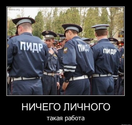 Imagini amuzante despre polițiști (43 fotografii) - imagini amuzante și umor