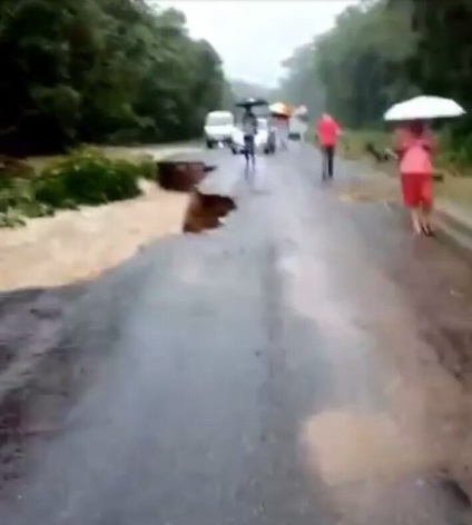 Primorye inundat de ploi - fotografii ale martorilor oculari din scenă, hubinfo