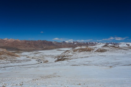 Câini de primăvară ai Kârgâzului din Pamirs de est, Tadjikistan