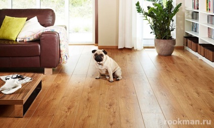 Producători de laminate scurtă descriere, caracteristici distinctive