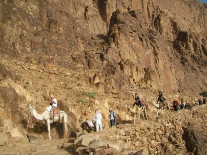 Utazzon Egyiptomba - Mount Sinai