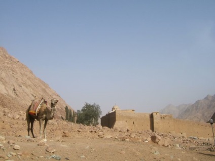 Utazzon Egyiptomba - Sinai Hegy (női magazin) Utazzon Egyiptomba - Mount Sinai