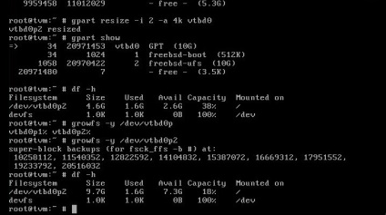 Extensia discului în format freebsd de pe server