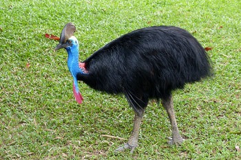 Szórakozás Langkawi szigetén, dolgom