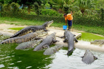 Divertismentul insulei Langkawi, ce să faci