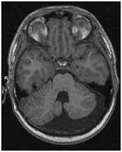 Regionális Diagnosztikai Központ - CT, MRI, CT, ultrahang