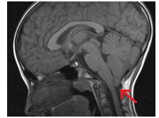 Regionális Diagnosztikai Központ - CT, MRI, CT, ultrahang