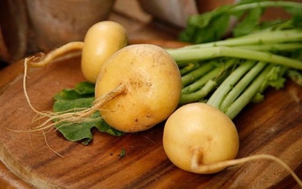 Répa előnyök a férfiak, nők és gyermekek, valamint a fő nemrég még (sok vitamint ásványi anyagok) Répa előnyök a férfiak, nők és gyermekek, valamint a fő nemrég még