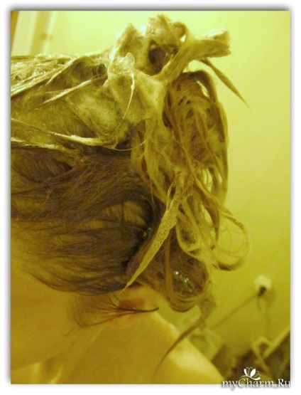 Reveur fraicheur - un șampon pentru hidratarea părului dvs. - japonica reveur fraicheur șampon umed