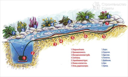 Izvorul însuși - soiuri, caracteristici, producție