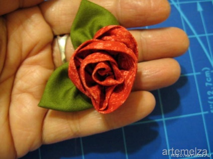 Roses szövet (szövet) Roses egy szövetből
