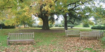 Kew Gardens (grădini kew) - o comoară mondială a plantelor vii - un loc despre plante