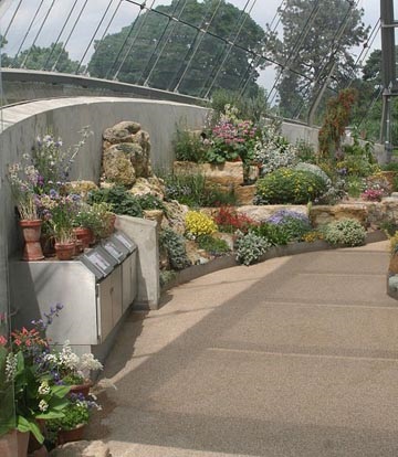 Kew Gardens (grădini kew) - o comoară mondială a plantelor vii - un loc despre plante