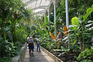 Kew Gardens (Kew Gardens) - a világ kincslelet élő növények - helyszínen a növények