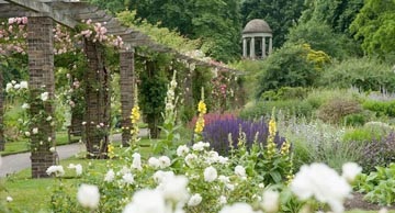 Kew Gardens (grădini kew) - o comoară mondială a plantelor vii - un loc despre plante