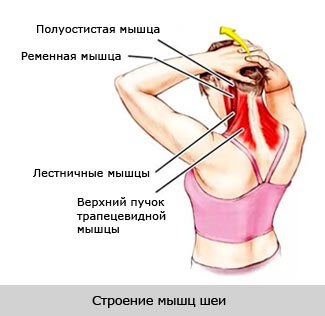Self-masszázs nyaki osteochondrosis