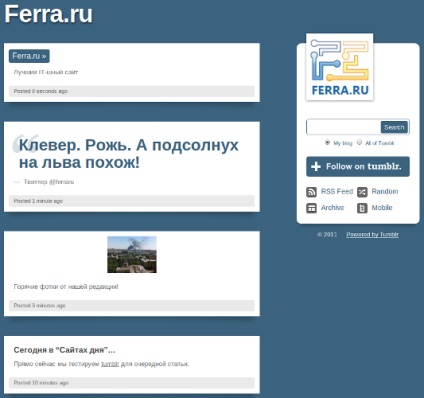 Site-ul zilei tumblr - wordpress killer pentru epoca web 2